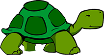 turtle212