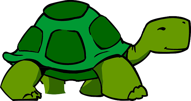 LERNZEIT Schildkröte